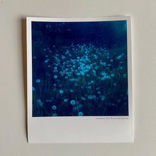 Ladda upp bild till gallerivisning, Miniprint av Charlotta Hammar