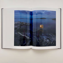 Ladda upp bild till gallerivisning, Alexander Lervik Sven-Harrys konstmuseum