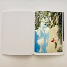 Ladda upp bild till gallerivisning, Alexander Lervik Sven-Harrys konstmuseum