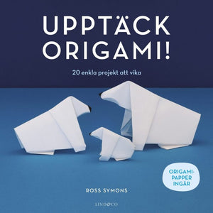 Boken "Upptäck origami"