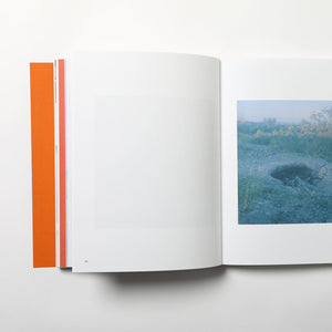 Boken "Unsheltered Island" av Charlotta Hammar