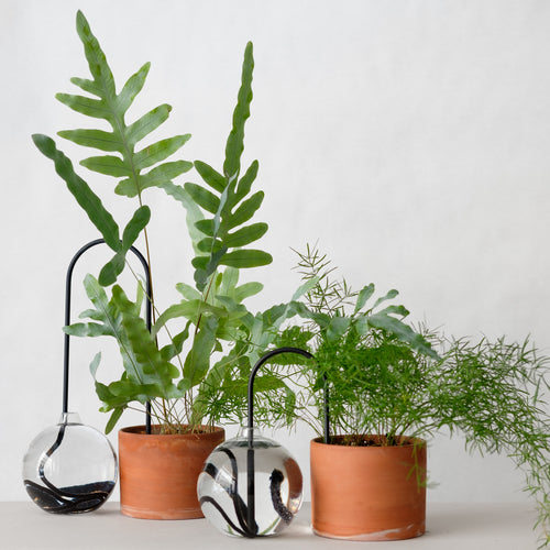 Plantstraws Sven-Harrys konstmuseum
